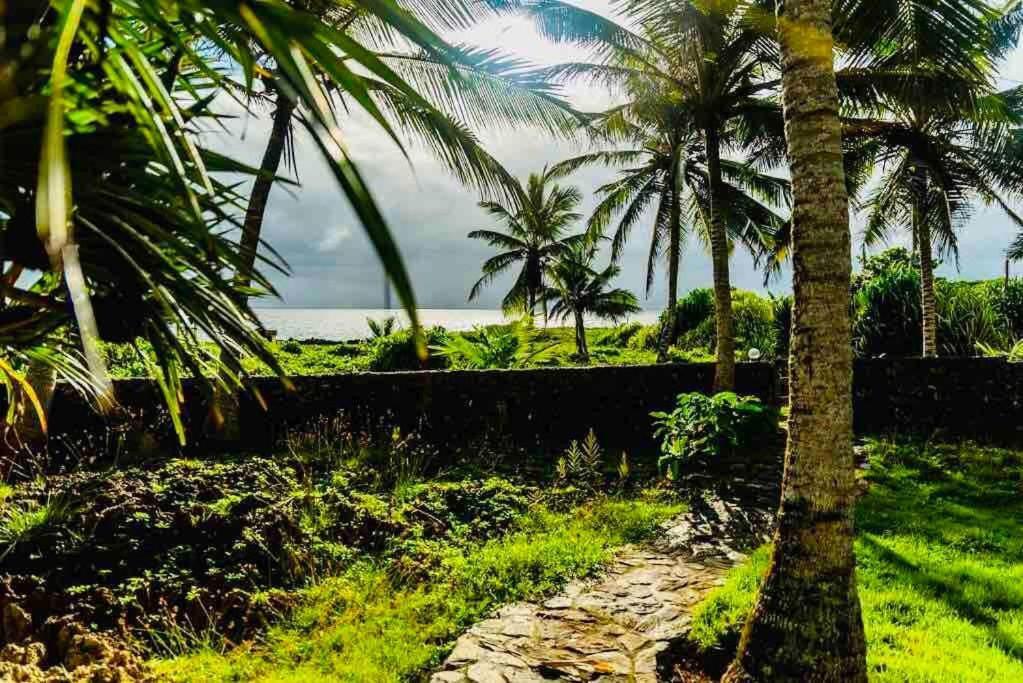 Palm House - Luxury Villa - Samana - Ocean Front Sánchez Εξωτερικό φωτογραφία