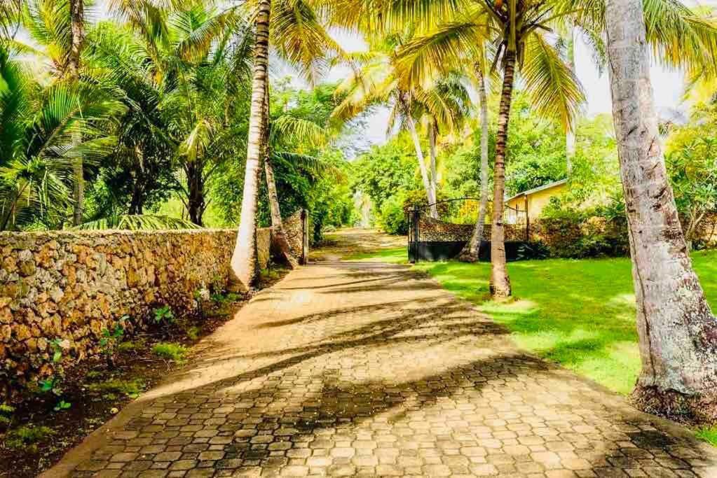 Palm House - Luxury Villa - Samana - Ocean Front Sánchez Εξωτερικό φωτογραφία
