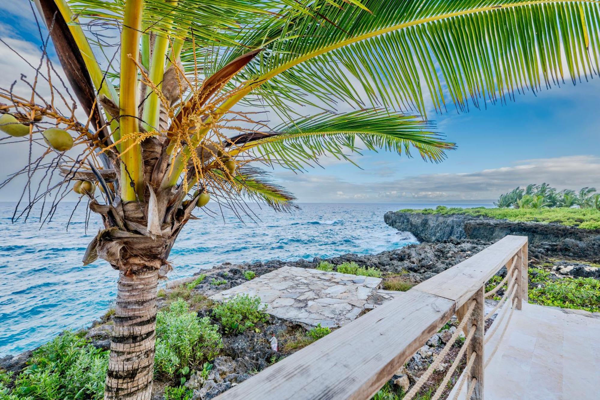 Palm House - Luxury Villa - Samana - Ocean Front Sánchez Εξωτερικό φωτογραφία