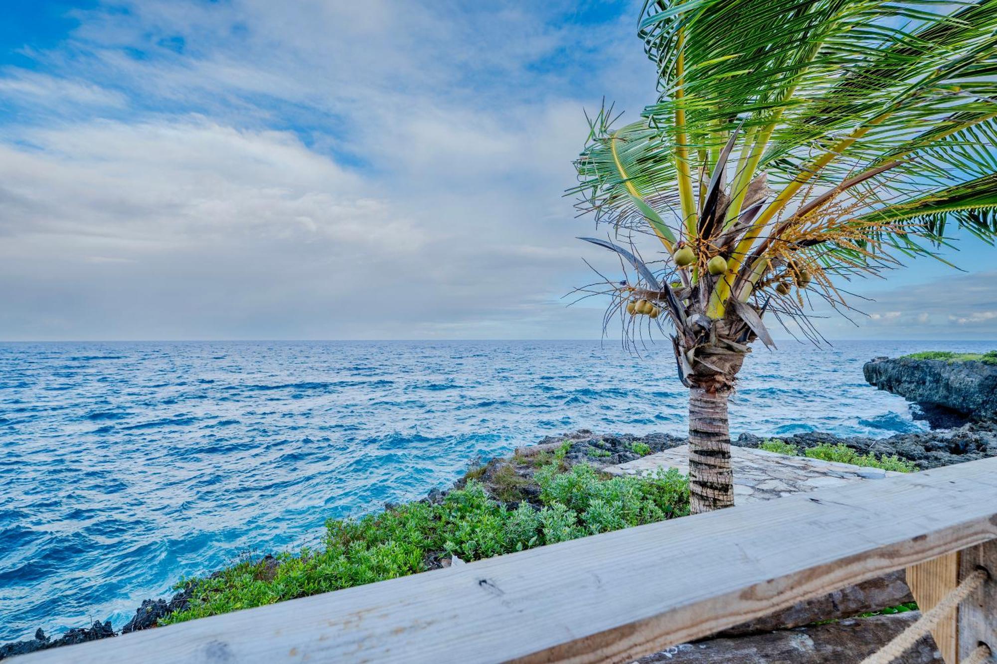 Palm House - Luxury Villa - Samana - Ocean Front Sánchez Εξωτερικό φωτογραφία