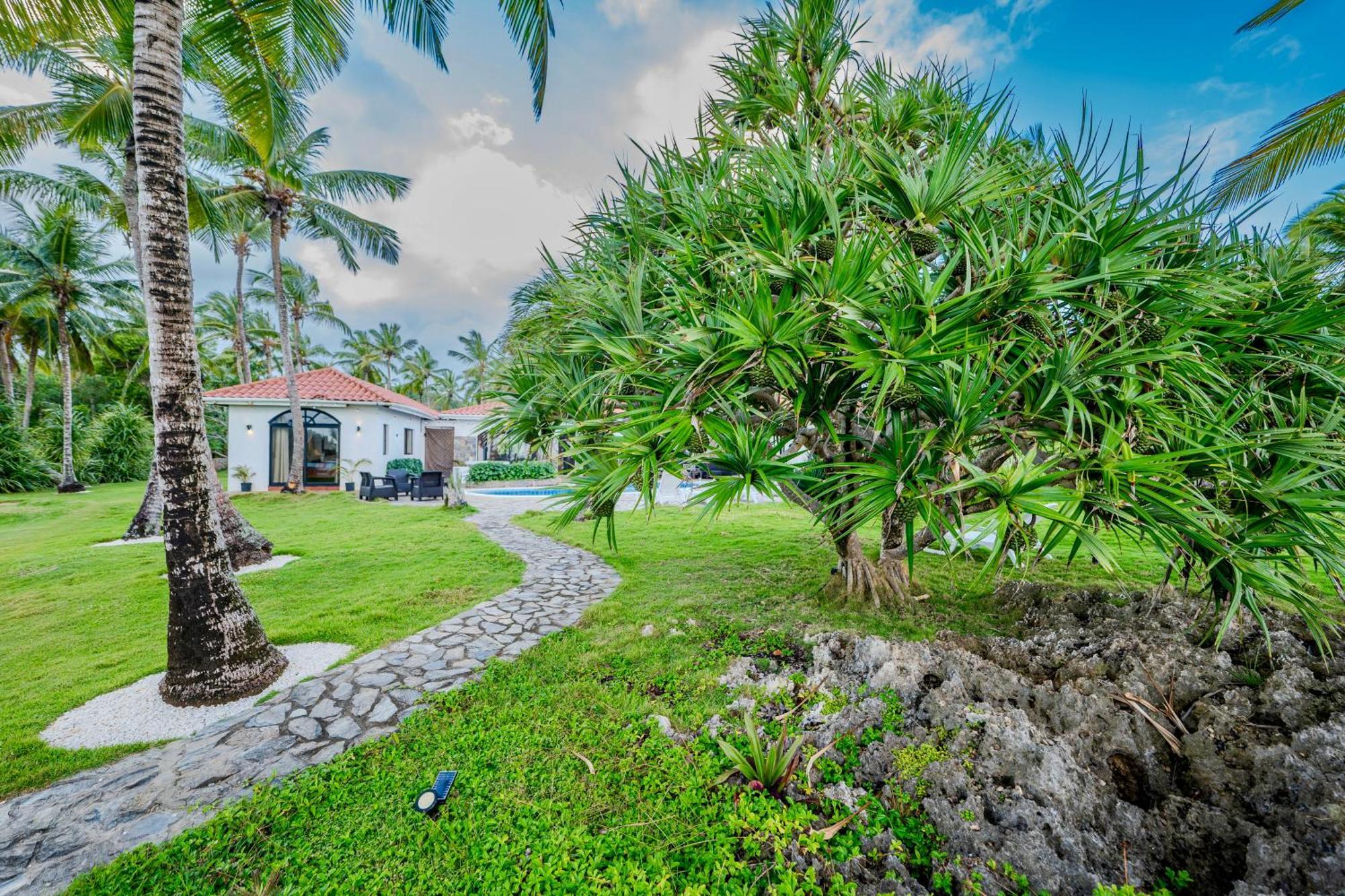 Palm House - Luxury Villa - Samana - Ocean Front Sánchez Εξωτερικό φωτογραφία